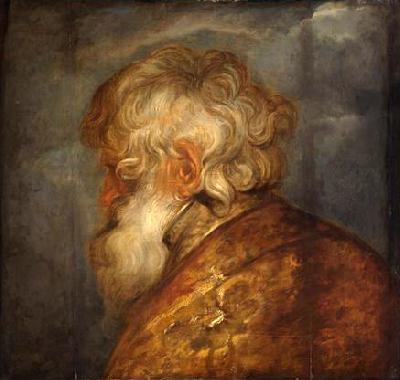 Anthony Van Dyck Studienkopf eines alten Mannes oil painting picture